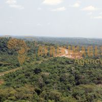 Afrikimages gabon/  franceville