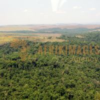 Afrikimages gabon/  franceville