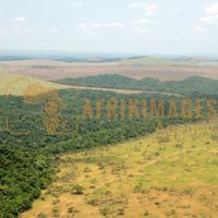 Afrikimages gabon/  franceville