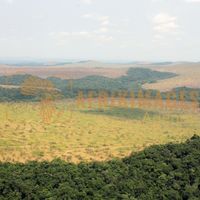 Afrikimages gabon/  franceville