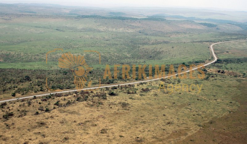 Afrikimages gabon/  franceville