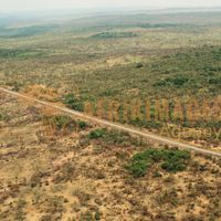 Afrikimages gabon/  franceville