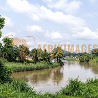 Afrikimages gabon/  koulamoutou