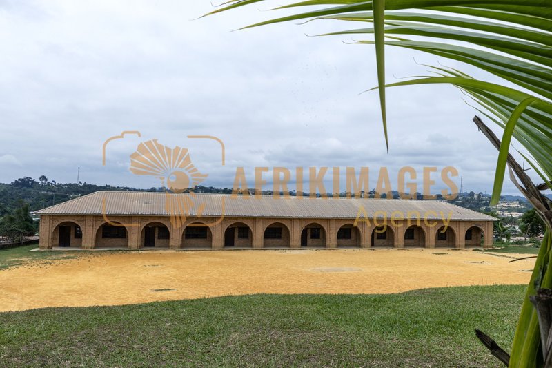 Afrikimages gabon/  koulamoutou