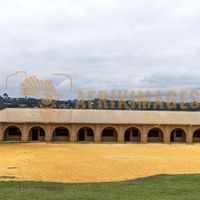 Afrikimages gabon/  koulamoutou