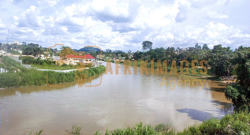 Afrikimages gabon/  koulamoutou