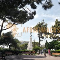 Afrikimages france /  nice