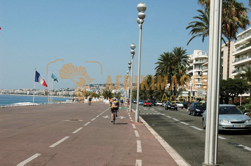 Afrikimages france /  nice