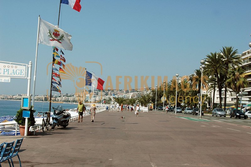 Afrikimages france /  nice
