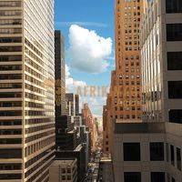 Afrikimages etats-unis /  new-york