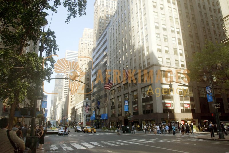 Afrikimages etats-unis /  new-york