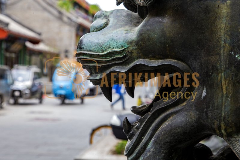 Afrikimages chine /  pekín (beijing)