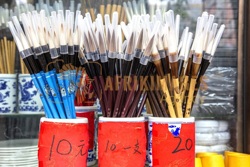 Afrikimages chine /  pekín (beijing)