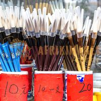 Afrikimages chine /  pekín (beijing)