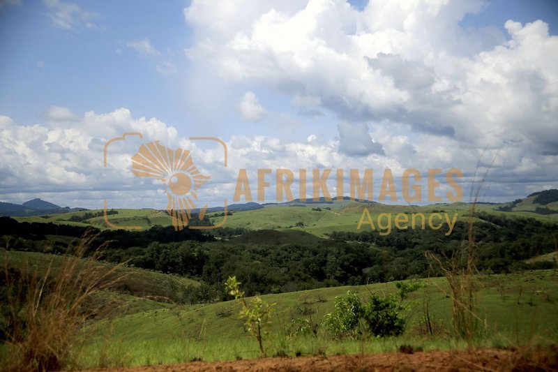 Afrikimages nature