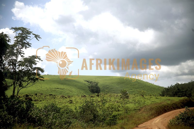 Afrikimages nature 