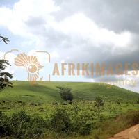 Afrikimages nature 