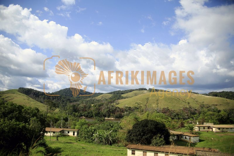 Afrikimages nature