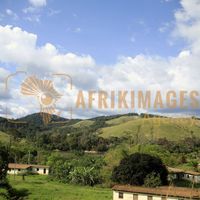 Afrikimages nature