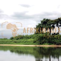 Afrikimages nature 