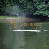 Afrikimages nature