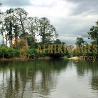Afrikimages nature
