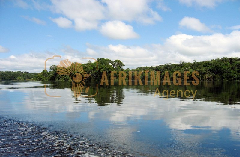 Afrikimages nature