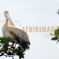 Afrikimages animaux