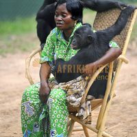 Afrikimages animaux