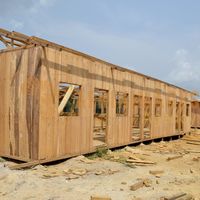 Afrikimages gabon / habitat 