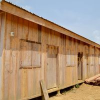 Afrikimages gabon / habitat 