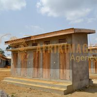 Afrikimages gabon / habitat 