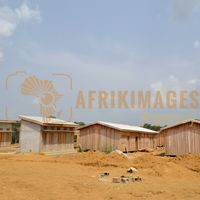 Afrikimages gabon / habitat 