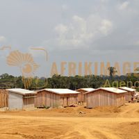 Afrikimages gabon / habitat 