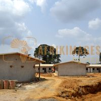 Afrikimages gabon / habitat 