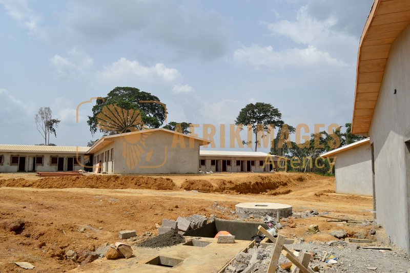 Afrikimages gabon / habitat 