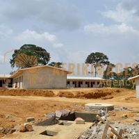 Afrikimages gabon / habitat 