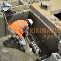 Afrikimages gabon / habitat 