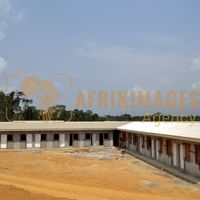 Afrikimages gabon / habitat 