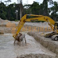 Afrikimages gabon / habitat 