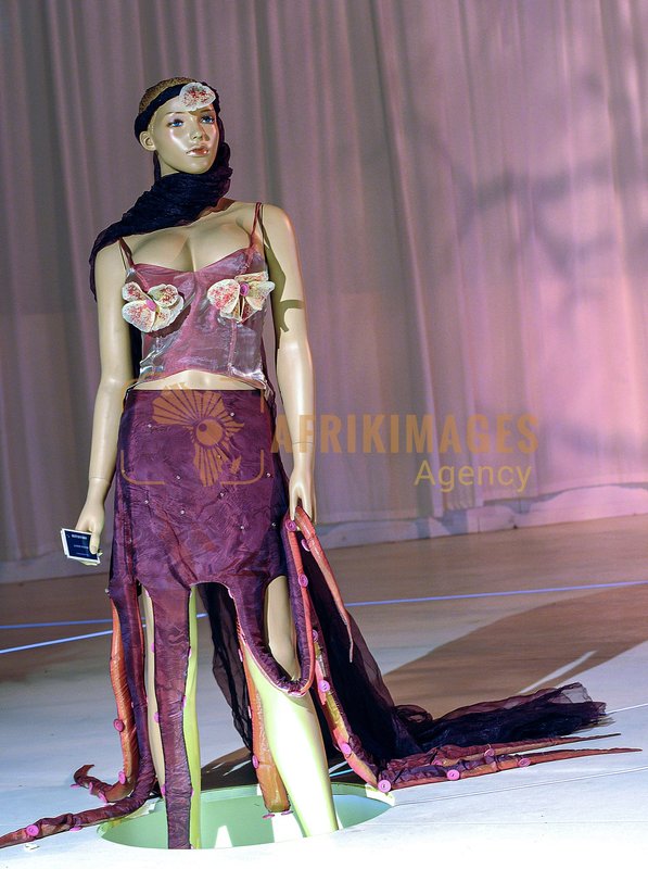 Afrikimages arts-peinture