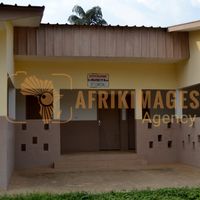 Afrikimages gabon / habitat 