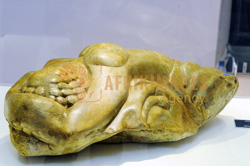 Afrikimages arts-peinture