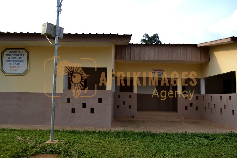 Afrikimages gabon / habitat 
