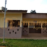 Afrikimages gabon / habitat 