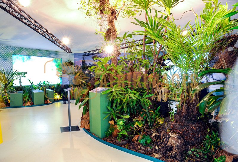 Afrikimages exposition gabon, ma terre, mon futur