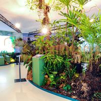 Afrikimages exposition gabon, ma terre, mon futur