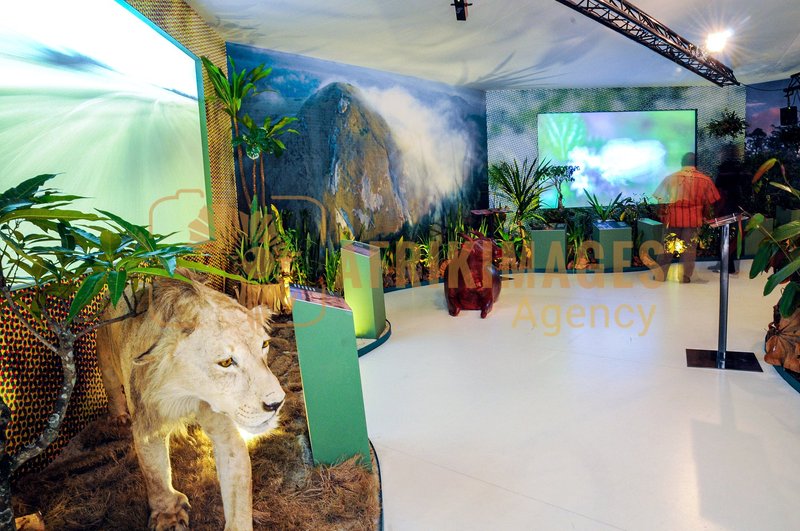 Afrikimages exposition gabon, ma terre, mon futur