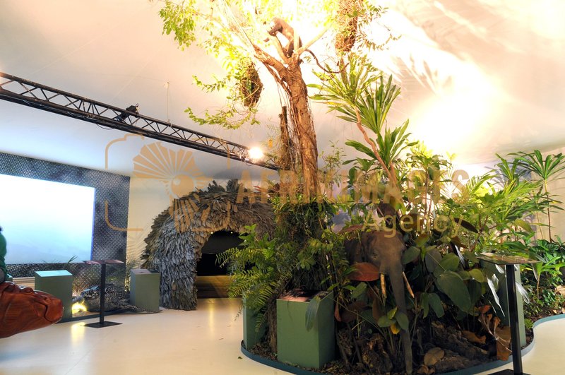 Afrikimages exposition gabon, ma terre, mon futur