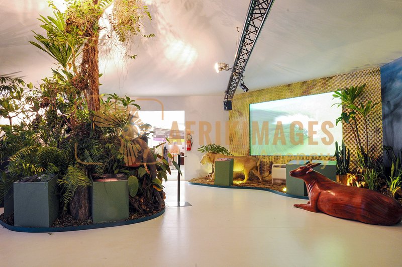 Afrikimages exposition gabon, ma terre, mon futur